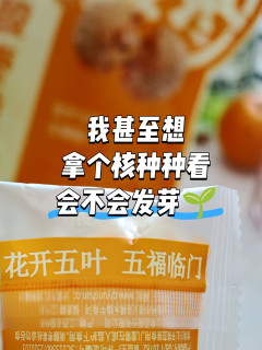 大名鼎鼎的酸枣原来是这个样子的，吃完还可以变成手串?！