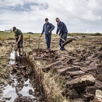 新手别碰拉弗格和阿贝！这三款艾雷岛威士忌才是真·入门首选