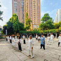 2026年一季度八段锦视频播放量破84亿次，国家中医药管理局将其列为应对“脆皮”亚健康核心干预手段