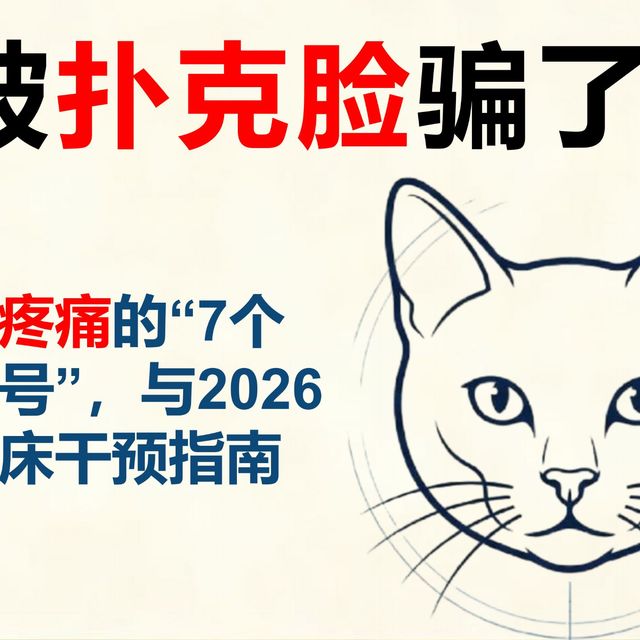 猫急性疼痛的7个沉默信号