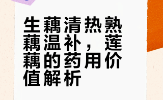 【# 莲藕不仅是美味菜肴，也具有丰富的药用价值。藕可生吃也可煮熟后吃，但区别较大。生藕性寒，具有清热生津润肺、凉血止血的功效，适合上火、口干舌燥者。熟藕性温，具有健脾养胃、补气血的功效。一句话总结：生藕清热、熟藕温补，大家可根据自己的身体情况选择食用。（广州中医药大学一附院）