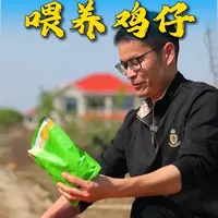 新手养鸡首日攻略：环境准备与饮水管理要点