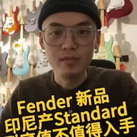 Fender Standard系列电吉他深度解析：配置、争议与选购建议