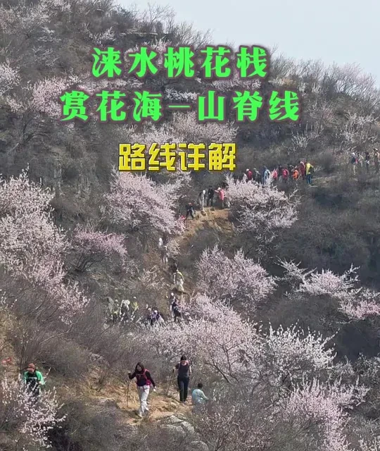 涞水桃花栈山脊线徒步攻略：路线详解与赏花指南