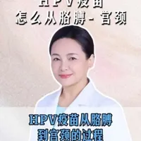 HPV治疗性疫苗原理：为何打在胳膊能清除宫颈病毒