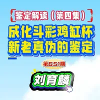 成化斗彩鸡缸杯鉴定：宏观特征与微观痕迹分析