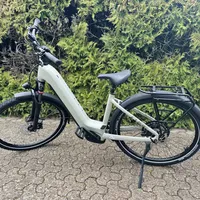 🇩🇪电动自行车Ebike选购