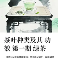 茶叶种类及其功效 第一期绿茶