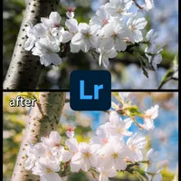 Lr调色指南🎨｜是春和景明的色彩🌸