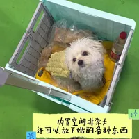 宠物推车要不要买？