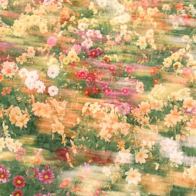 当我用慢门拍花｜附油画感拍摄技巧📸