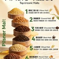 六大核心啤酒麦芽｜精酿党必码干货✨