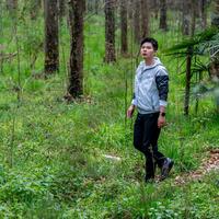 命里缺木又缺水，最好的调整是走进山野