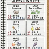 6大白葡萄品种图鉴！一张图存走🍇
