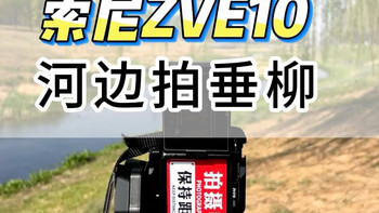 春日垂柳轻拂，索尼ZVE10捕捉瞬间 