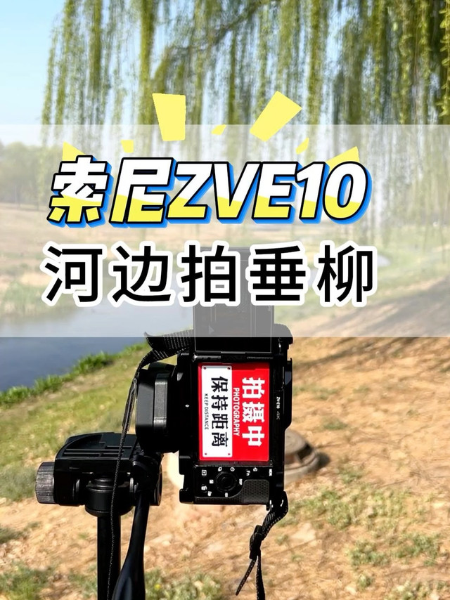 春日垂柳轻拂，索尼ZVE10捕捉瞬间