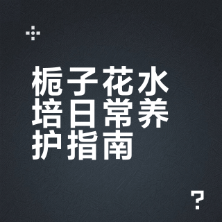 栀子花水培日常养护指南