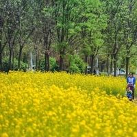春季带娃：穿衣保命与防病核心