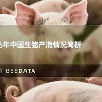 2026年中国生猪产业供需与市场行情深度解析
