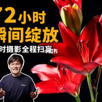 延时摄影教学，在家也能拍出电影感花卉延时