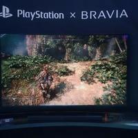 RGB LED 电视这画质…索尼你真行