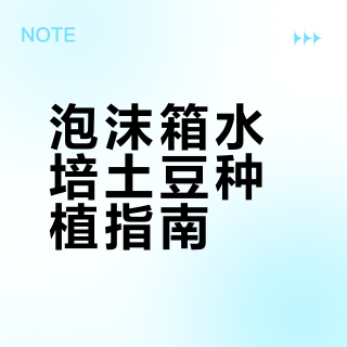 泡沫箱水培土豆种植指南