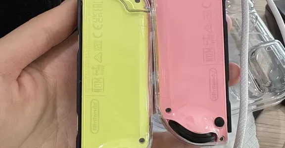 joycon求帮看真假