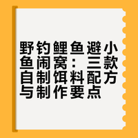 野钓鲤鱼避小鱼闹窝：三款自制饵料配方与制作要点
