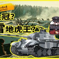 久等了，积木虎王坦克登场，然而是全冠的