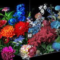 多花两千块买T7M Ultra，画质真能碾压T7M Pro？