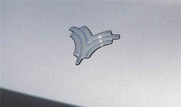 张雪谈哪吒花5亿设计logo传闻：必死无疑、我们的花了600块钱