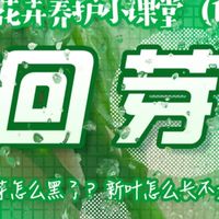 77期 花卉养护小课堂（1）回芽