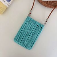 清新感拉满！钩织手机包，把春天背在身上 ‖ 新手视频教程