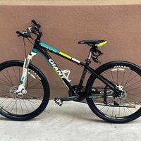 国内十大自行车品牌核心参数与市场定位对比