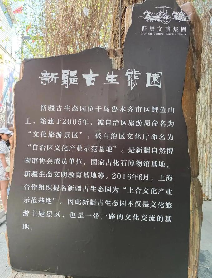 飞床垫