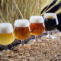 国产IPA不苦还更值？三类场景下闭眼入的才是真香款