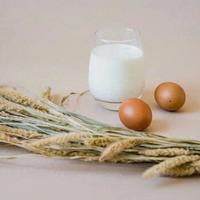 乳业三巨头2025财报盘点：伊利稳健、蒙牛转型、飞鹤突围