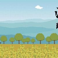 2026年清明生活指南：老规矩里的健康与处世智慧