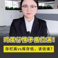 鸡蛋行情分析：存栏高企与库存低位的矛盾逻辑