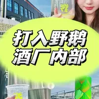 野鹅酒厂探秘：精酿啤酒的酿造工艺与流程