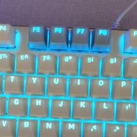 狼蛛F2088：春日桌面焕新之选