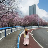 为了这几个机位📷特意来了趟柳州!