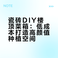 🏡 房顶种菜自由！瓷砖DIY高颜值菜箱