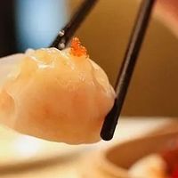 早茶时光：广州茶楼里的慢生活与美食