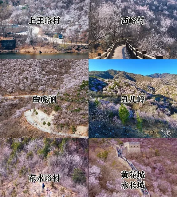 京郊6条桃花徒步线路！莫负春光
