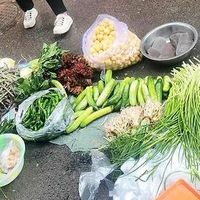 把春天吃进肚里，看看这些春菜，你家吃过吗？