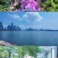 租过6次9.9大疆p3都顺利归还，全流程避坑