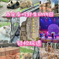 西安遛娃 秦岭野生动物园保姆级攻略