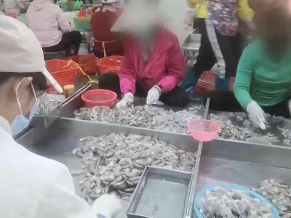 “一斤虾仁七两冰”：央视3·15晚会揭露“保水虾仁”增重黑幕