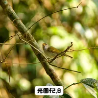 最近不背大炮了～用📱增距镜让肩膀放松一下～